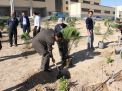 گزارش تصویری مراسم روز درخت کاری و تقدیر از نیروهای باغبانی دانشگاه